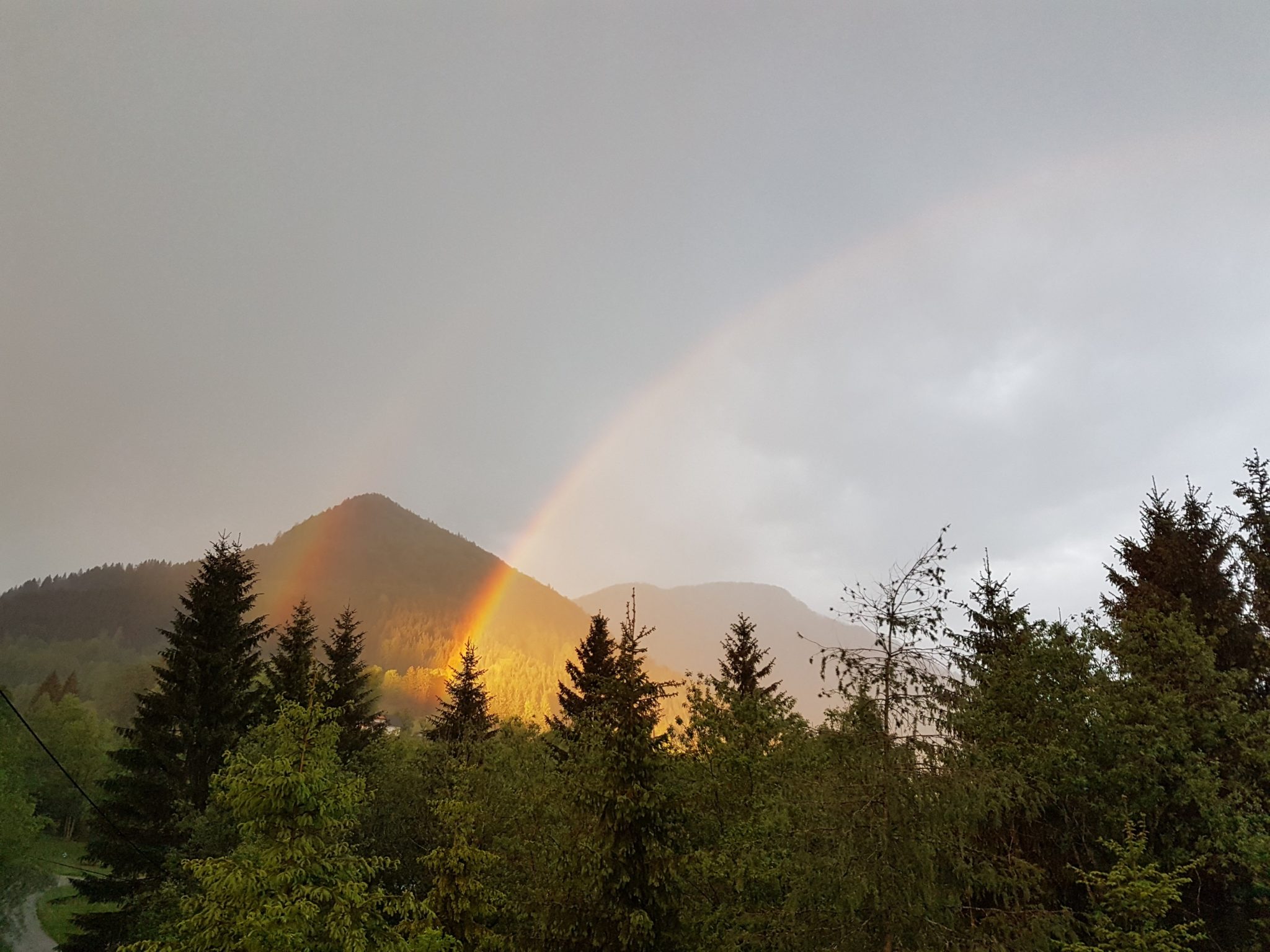 Regenbogen Privatzimmer Ferienwohnungen Gassner Nationalpark Gesäuse